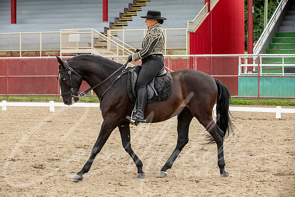1D3A2942