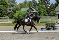 2026 Equestrian Galleries