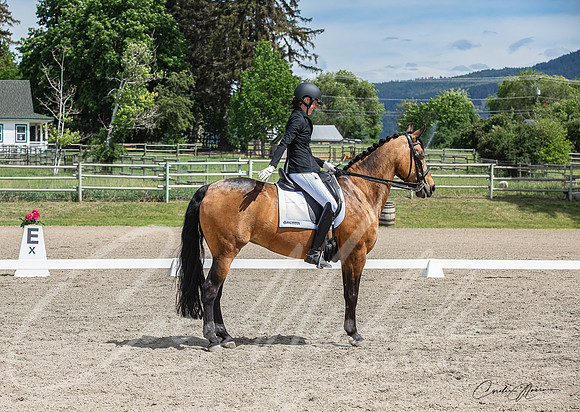 1D3A7006