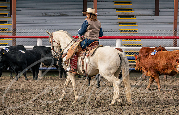 1D3A0189
