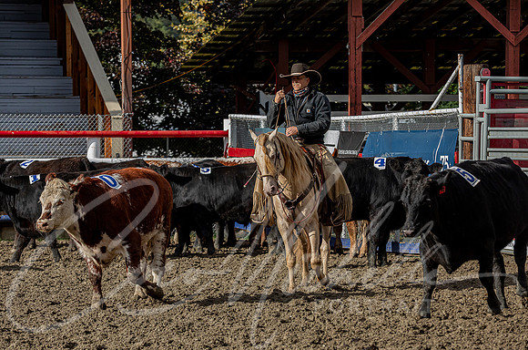 1D3A0125