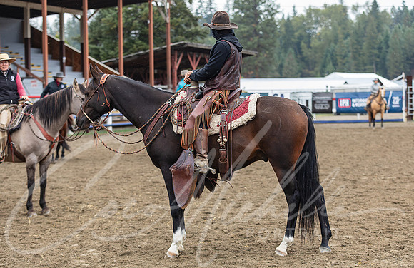 1D3A9431