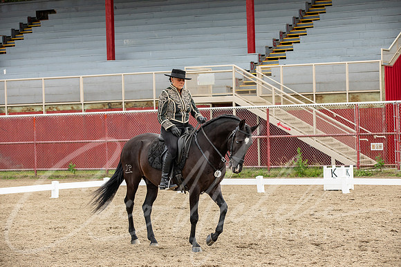 1D3A2906