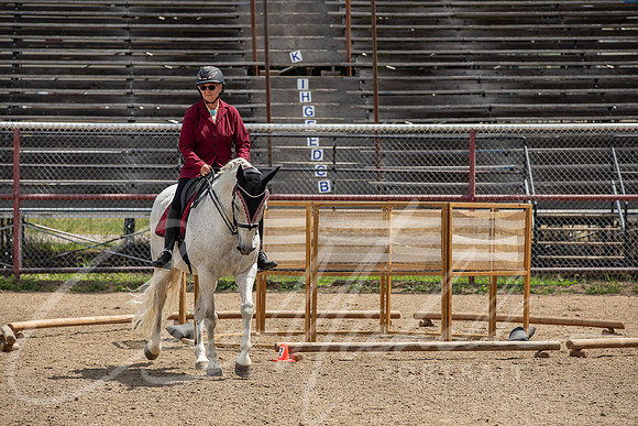 1D3A4568