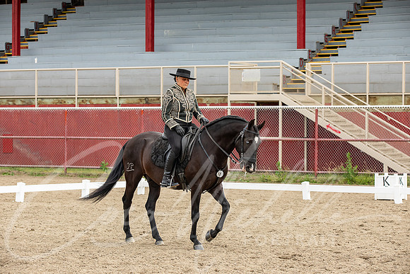 1D3A2905
