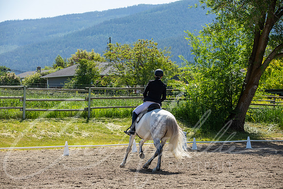 1D3A7454