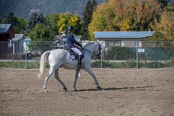 1D3A2926