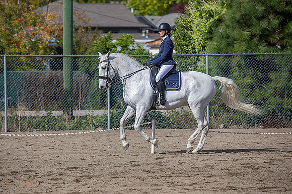 1D3A2962