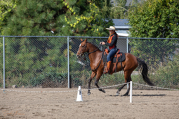 1D3A2993