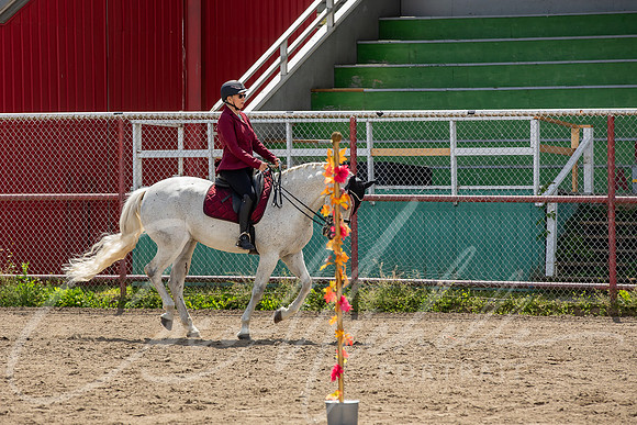1D3A4521