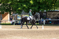1D3A3875