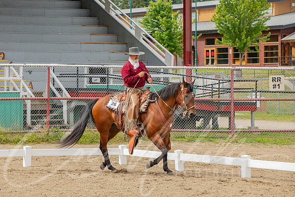 1D3A0429