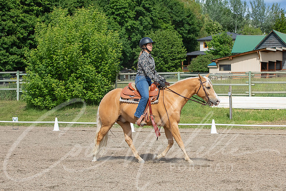1D3A4410