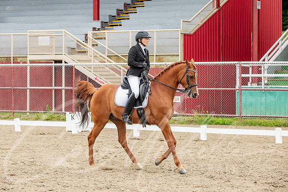 1D3A2329