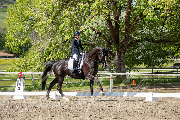 1D3A4493