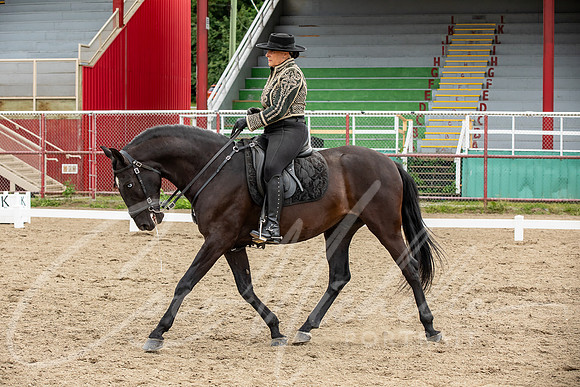 1D3A2941