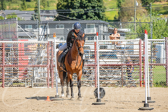 1D3A6946