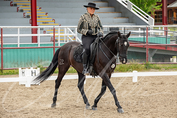 1D3A2911