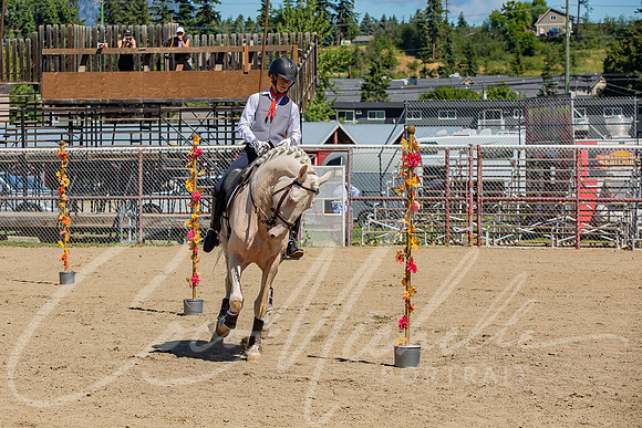 1D3A7154