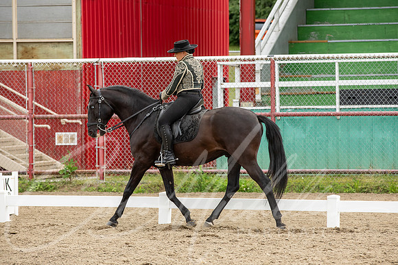 1D3A2917
