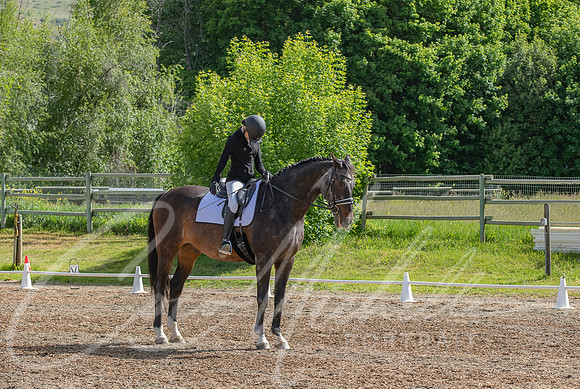 1D3A2991