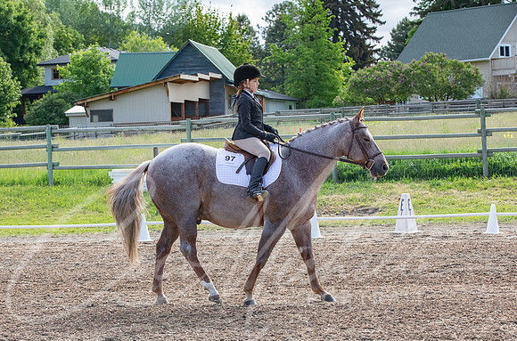 1D3A2684