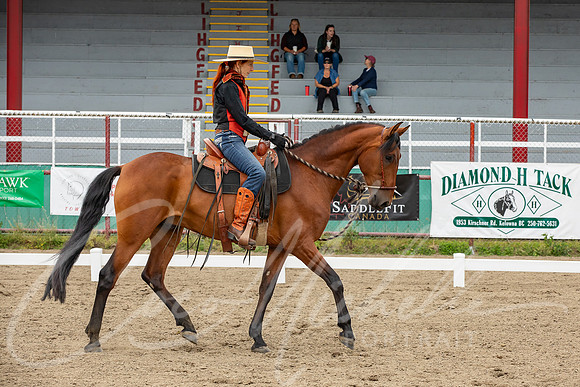 1D3A0695