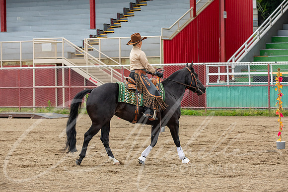 1D3A3690
