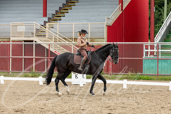 1D3A2774