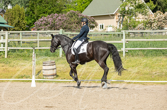1D3A6161