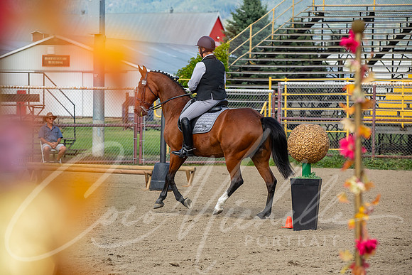 1D3A6185