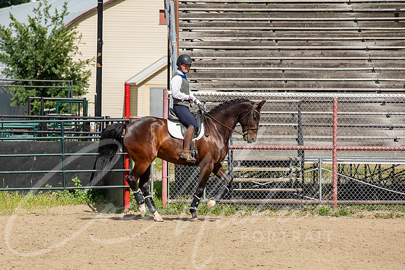 1D3A5843